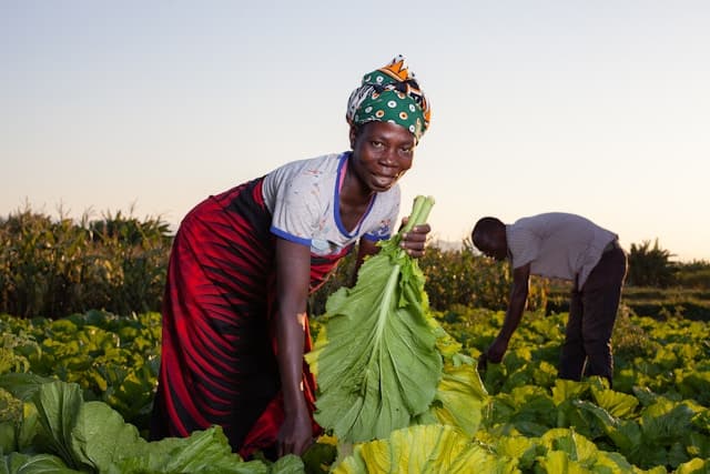 The Role of Data in Addressing Food Security